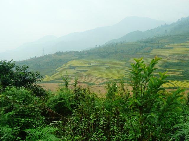 Urlaub in Vietnam 2007